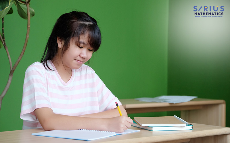 Student doing homework, mastering math concepts.