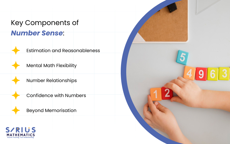 Key components of number sense in primary school.